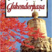 Gelenekten Modernliğe İskenderpaşa