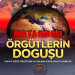 Örgütlerin Doğuşu